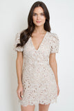 Karina Lace Mini Dress