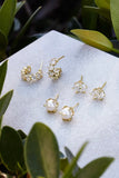 Cailin Gold Crystal Stud Earrings in White Crystal