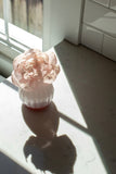 SWEET GRACE // Flower Diffuser