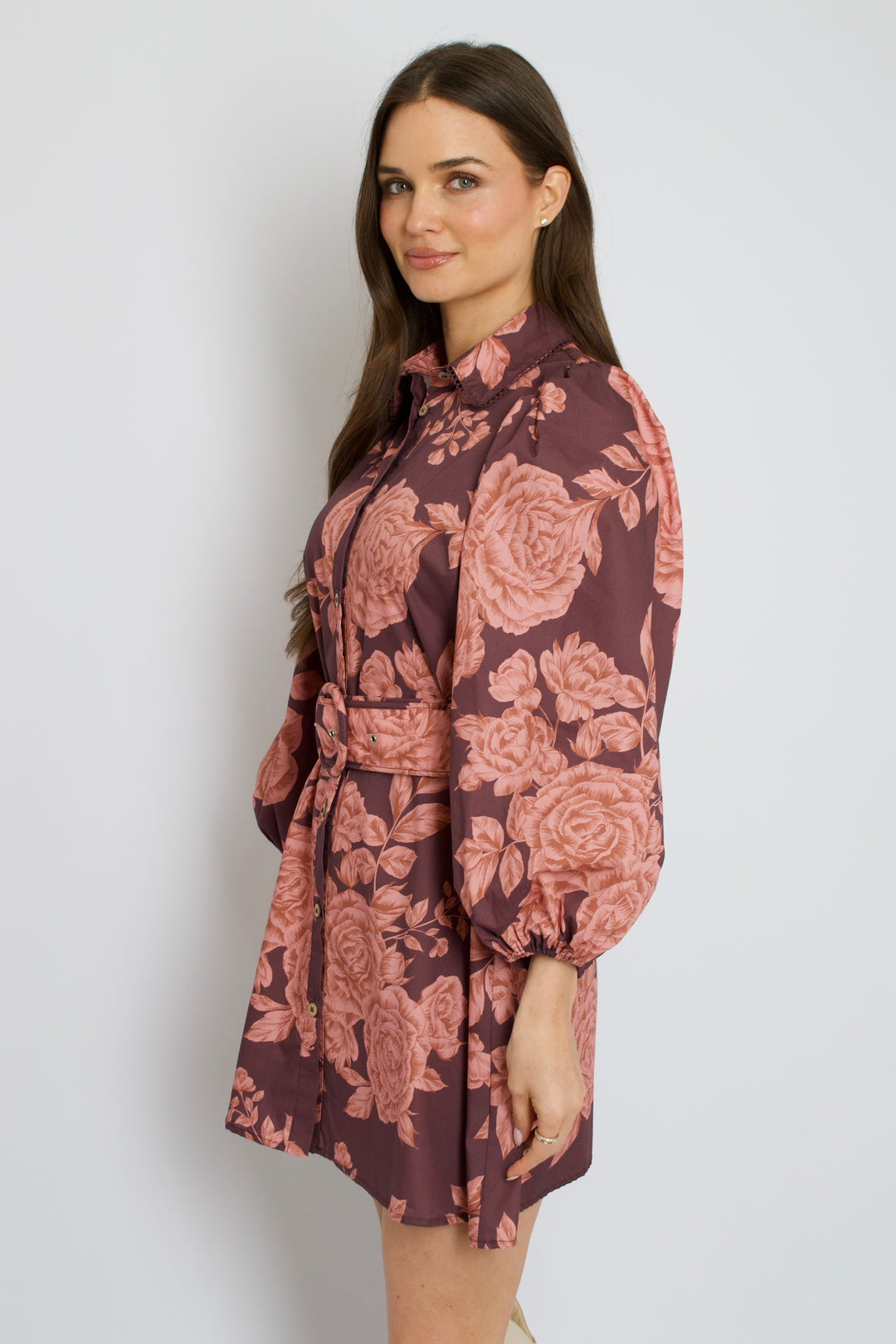 Rosewood Mini Dress