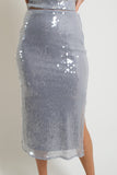 Katy Sequin Skirt