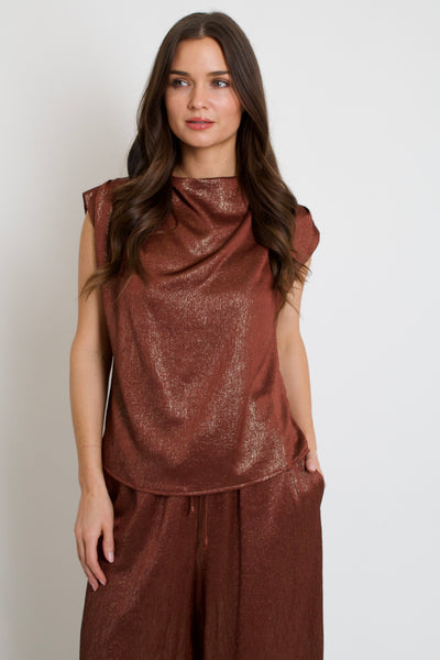 Shimmer Cowl Neck Top