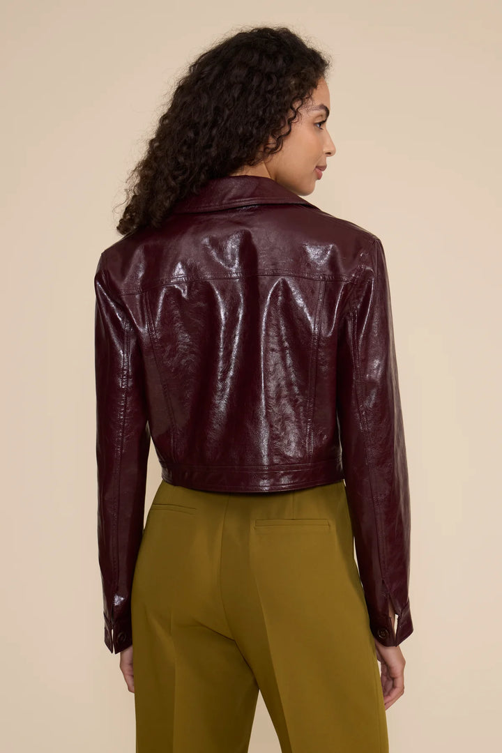 Lacey Moto Jacket