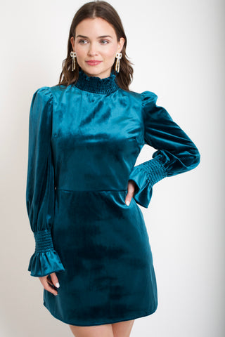 Louie Velvet Dress // PREORDER