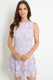 Marleigh Lace Mini Dress