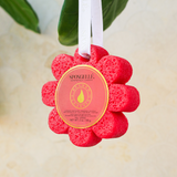 Spongelle Wild Flower Sponge // 4 scents