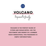 VOLCANO // Pattern Play Printed Travel Tin Candle